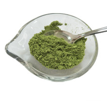 New Crop Dehydrated Vegetable Spinach Powder